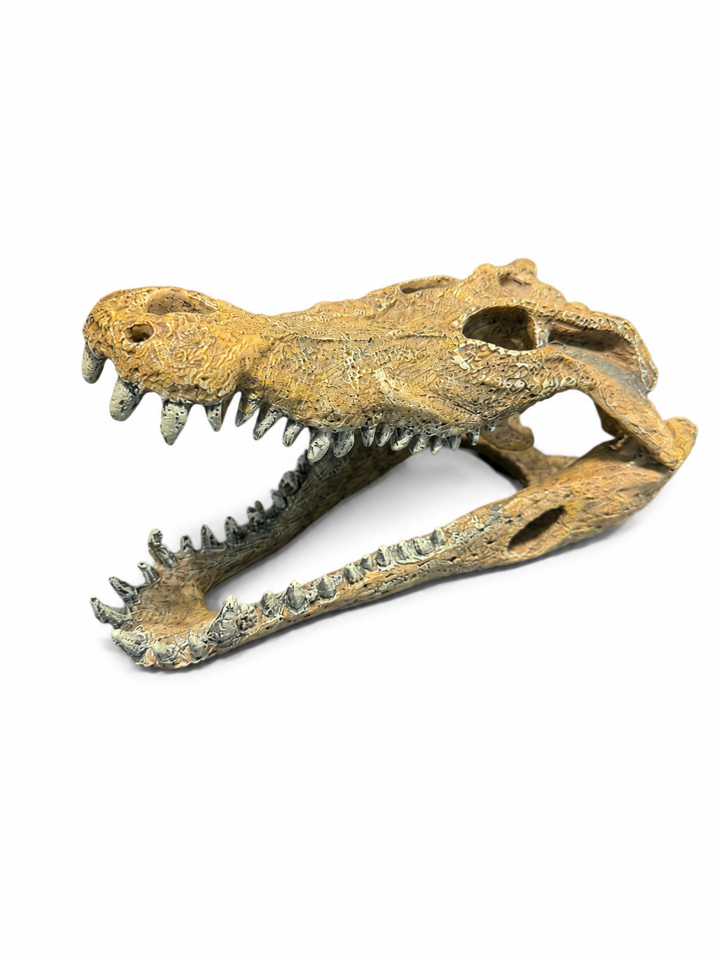 Repto Crocodile
