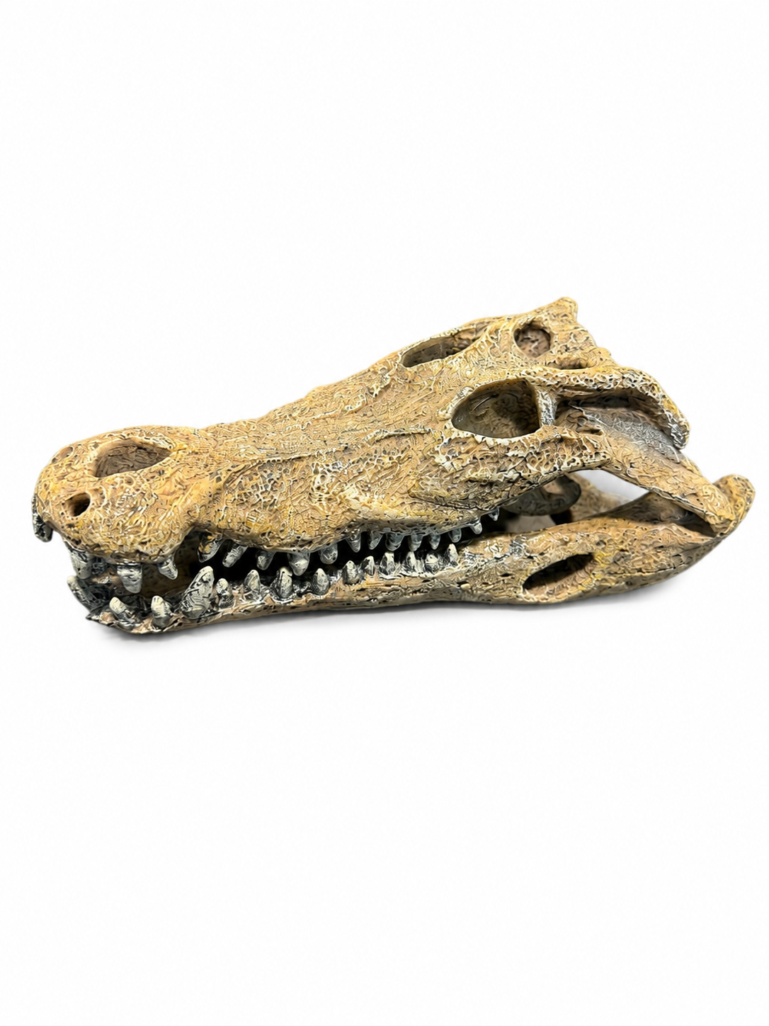 Repto Crocodile