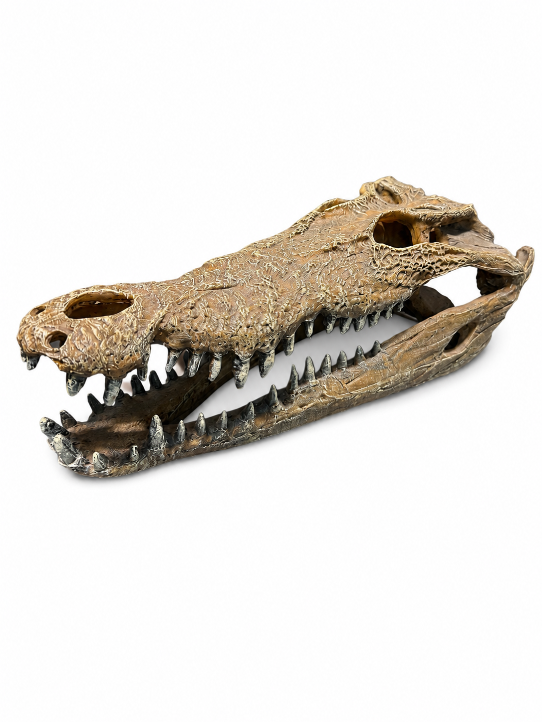 Repto Crocodile