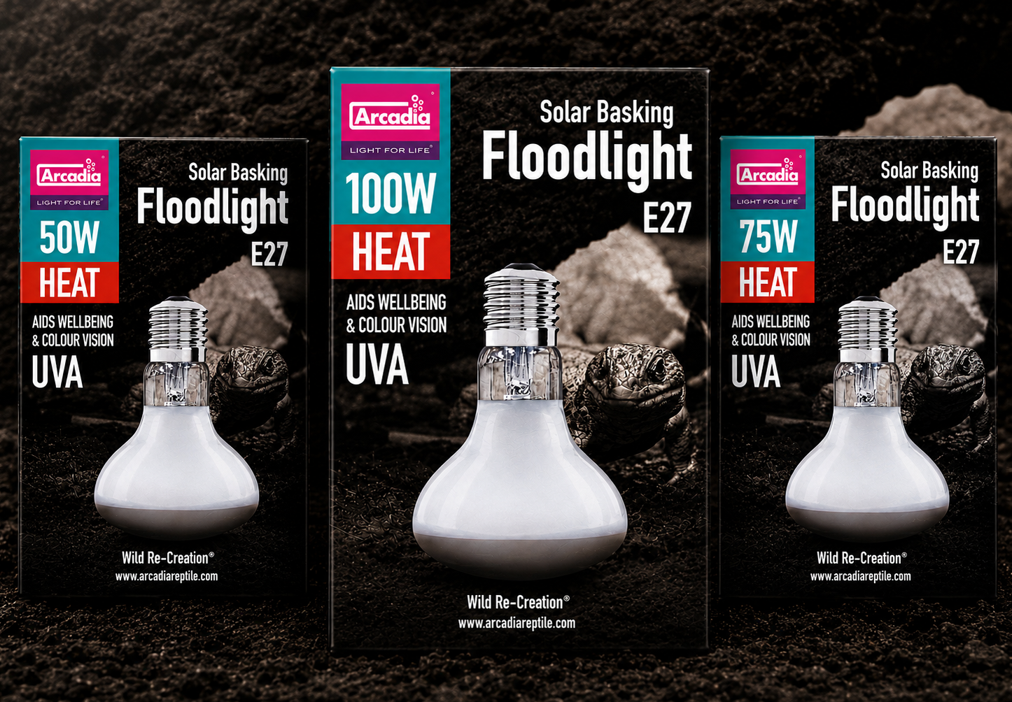 Arcadia Floodlight