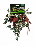 ReptoPlant Hanging Red Back