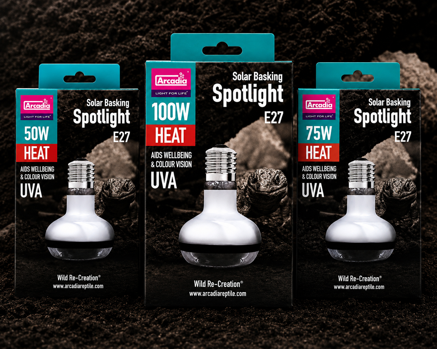 Arcadia Spotlight