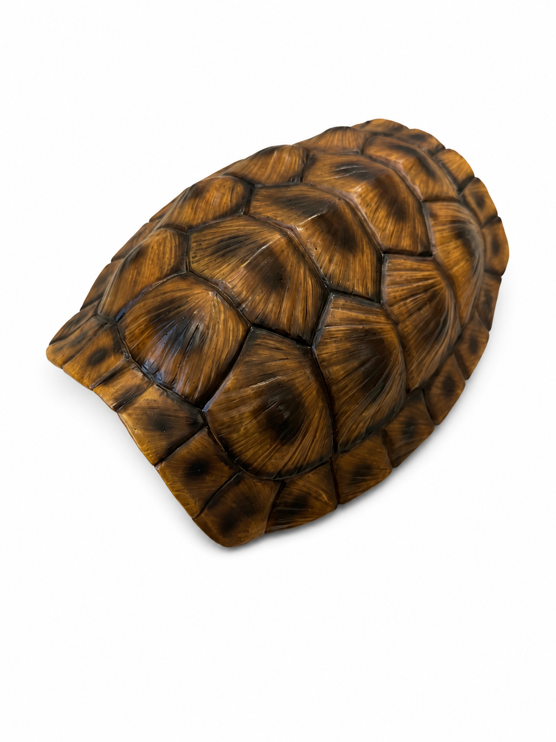 Repto Deko Tortoise