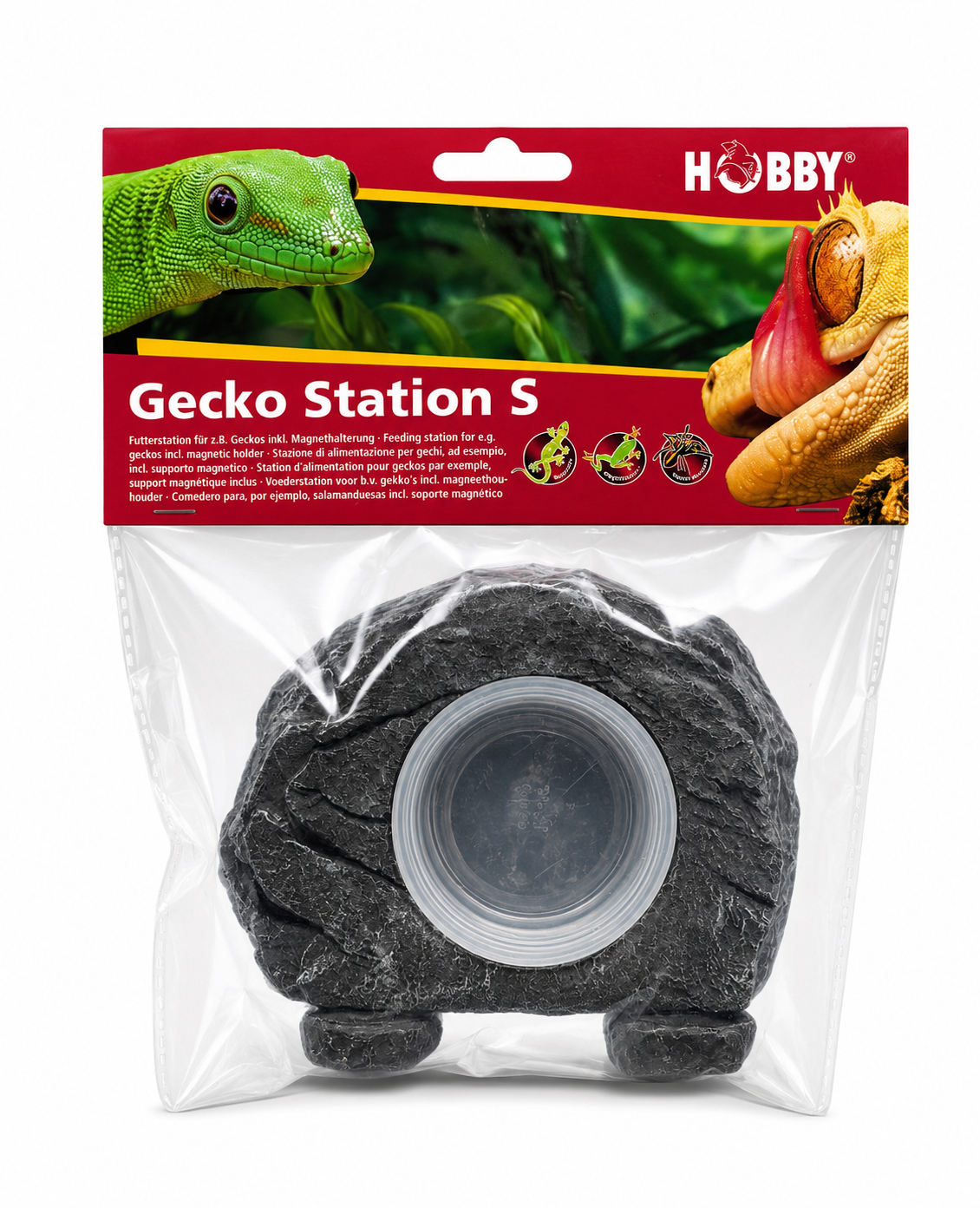 Hobby Gecko Station S