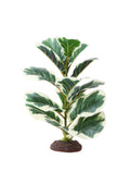 Hobby Ficus Elastica 1 Kunstpflanze