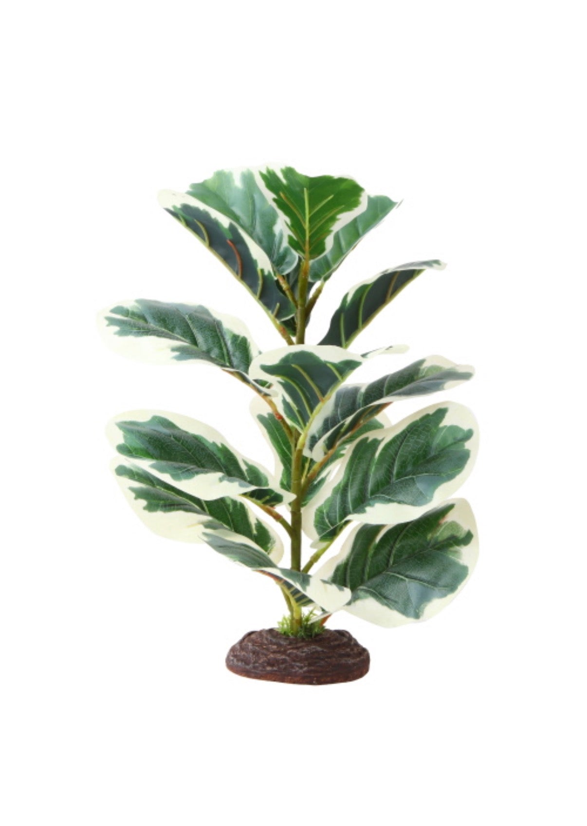 Hobby Ficus Elastica 1 Kunstpflanze