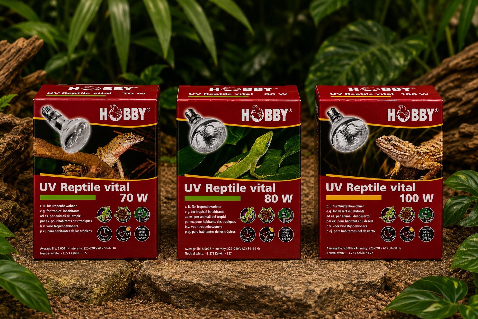 Hobby Eco Vital Lampe